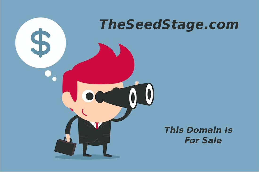 New Business looking for investors